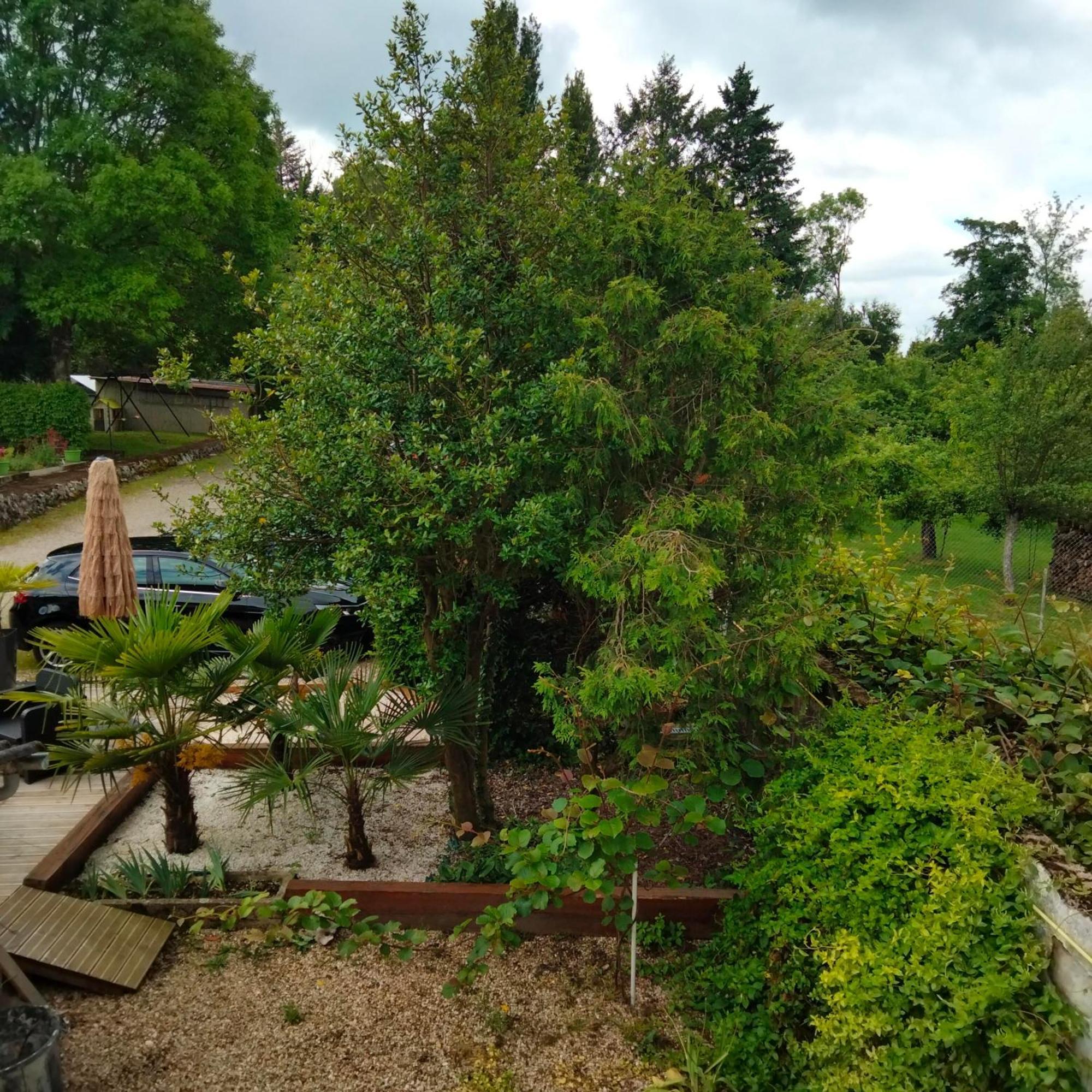 Bed and Breakfast Le Jack Mont-sous-Vaudrey Экстерьер фото